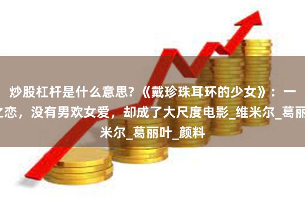 炒股杠杆是什么意思? 《戴珍珠耳环的少女》：一段禁忌之恋，没有男欢女爱，却成了大尺度电影_维米尔_葛丽叶_颜料
