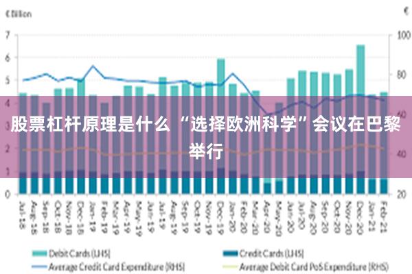股票杠杆原理是什么 “选择欧洲科学”会议在巴黎举行