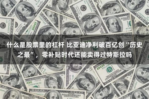 什么是股票里的杠杆 比亚迪净利破百亿创“历史之最”，零补贴时代还能卖得过特斯拉吗