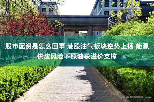 股市配资是怎么回事 港股油气板块逆势上扬 能源供应风险下原油获溢价支撑