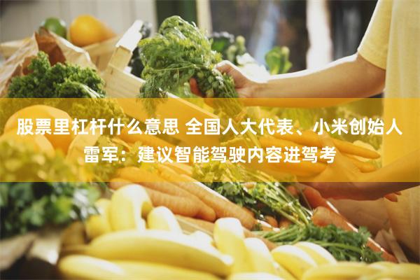 股票里杠杆什么意思 全国人大代表、小米创始人雷军：建议智能驾驶内容进驾考