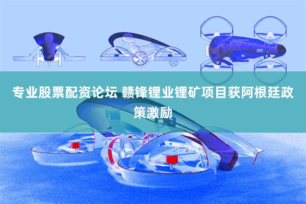 专业股票配资论坛 赣锋锂业锂矿项目获阿根廷政策激励