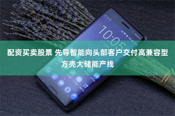 配资买卖股票 先导智能向头部客户交付高兼容型方壳大储能产线