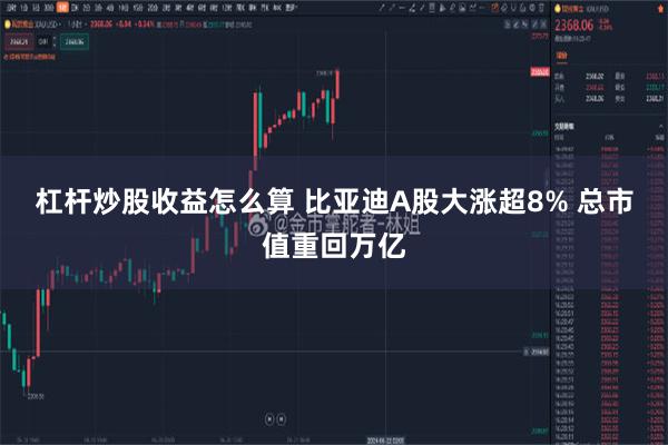 杠杆炒股收益怎么算 比亚迪A股大涨超8% 总市值重回万亿