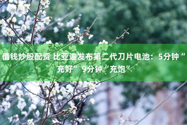 借钱炒股配资 比亚迪发布第二代刀片电池：5分钟“充好” 9分钟“充饱”