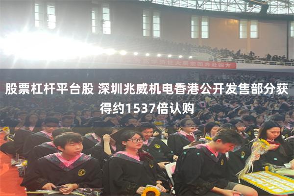 股票杠杆平台股 深圳兆威机电香港公开发售部分获得约1537倍认购