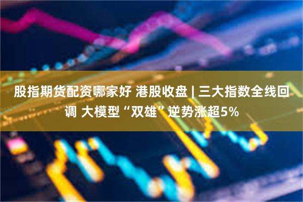 股指期货配资哪家好 港股收盘 | 三大指数全线回调 大模型“双雄”逆势涨超5%