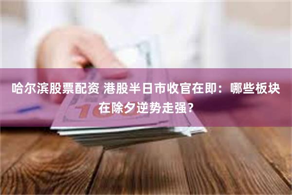 哈尔滨股票配资 港股半日市收官在即：哪些板块在除夕逆势走强？