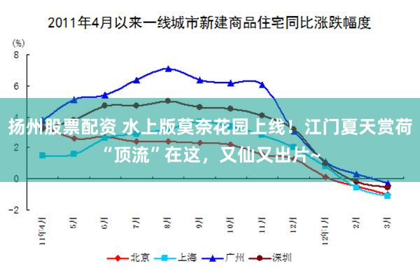 扬州股票配资 水上版莫奈花园上线！江门夏天赏荷“顶流”在这，又仙又出片~