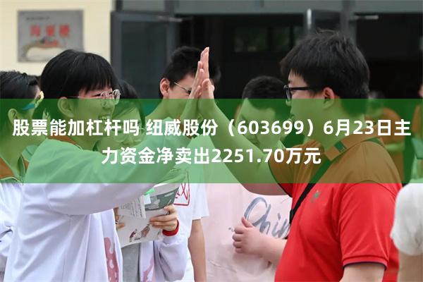股票能加杠杆吗 纽威股份（603699）6月23日主力资金净卖出2251.70万元