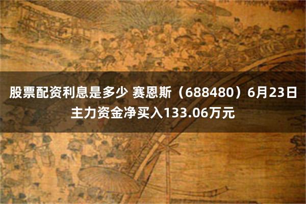 股票配资利息是多少 赛恩斯（688480）6月23日主力资金净买入133.06万元