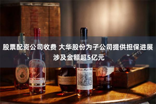 股票配资公司收费 大华股份为子公司提供担保进展 涉及金额超5亿元