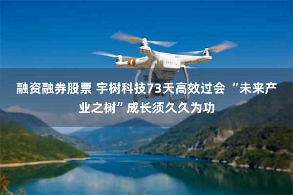 融资融券股票 宇树科技73天高效过会 “未来产业之树”成长须久久为功