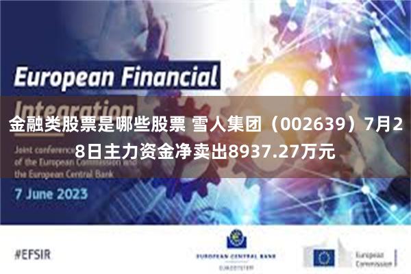 金融类股票是哪些股票 雪人集团（002639）7月28日主力资金净卖出8937.27万元