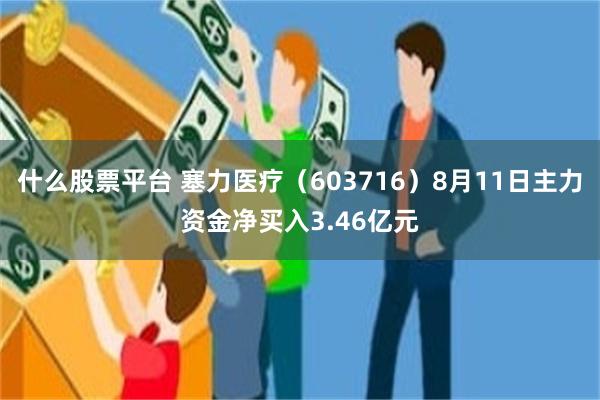 什么股票平台 塞力医疗（603716）8月11日主力资金净买入3.46亿元