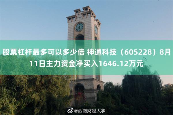 股票杠杆最多可以多少倍 神通科技（605228）8月11日主力资金净买入1646.12万元