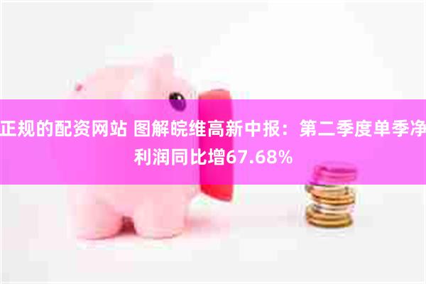 正规的配资网站 图解皖维高新中报：第二季度单季净利润同比增67.68%
