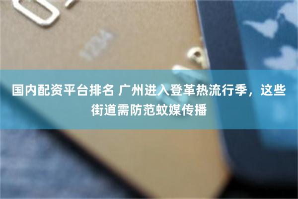 国内配资平台排名 广州进入登革热流行季，这些街道需防范蚊媒传播