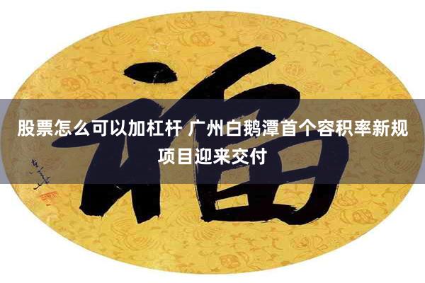 股票怎么可以加杠杆 广州白鹅潭首个容积率新规项目迎来交付