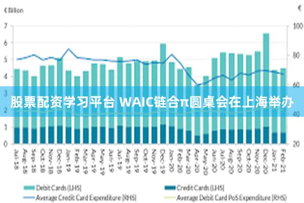 股票配资学习平台 WAIC链合π圆桌会在上海举办