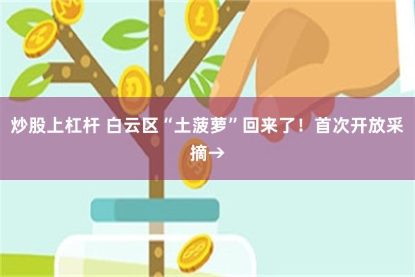 炒股上杠杆 白云区“土菠萝”回来了!首次开放采摘→