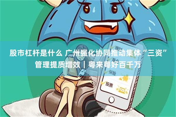 股市杠杆是什么 广州强化协同推动集体“三资”管理提质增效｜粤来粤好百千万