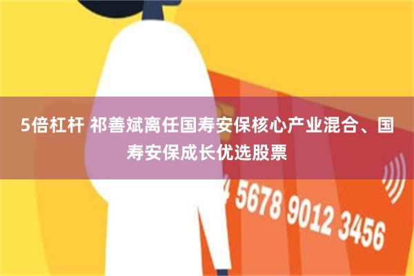 5倍杠杆 祁善斌离任国寿安保核心产业混合、国寿安保成长优选股票