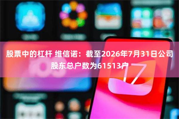 股票中的杠杆 维信诺：截至2026年7月31日公司股东总户数为61513户