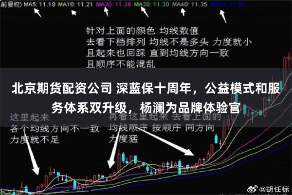 北京期货配资公司 深蓝保十周年，公益模式和服务体系双升级，杨澜为品牌体验官