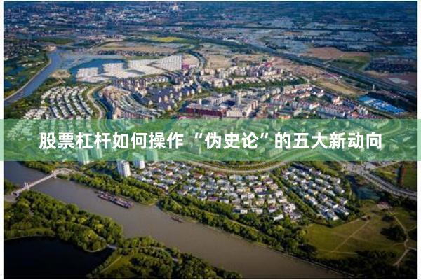 股票杠杆如何操作 “伪史论”的五大新动向
