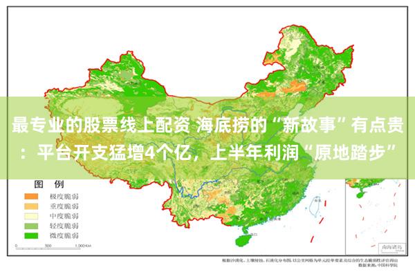 最专业的股票线上配资 海底捞的“新故事”有点贵：平台开支猛增4个亿，上半年利润“原地踏步”