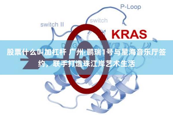 股票什么叫加杠杆 广州·鹏瑞1号与星海音乐厅签约，联手打造珠江岸艺术生活