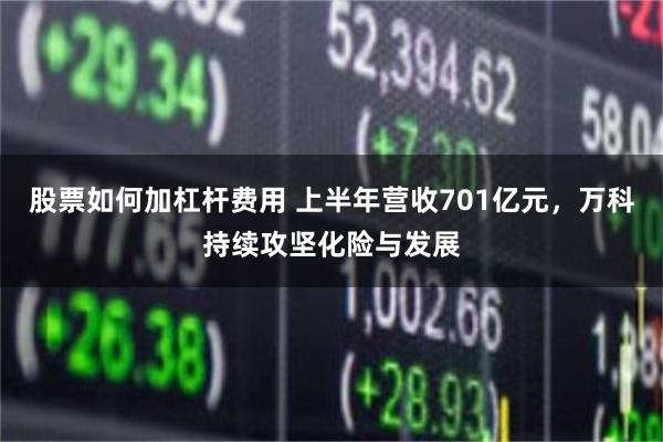 股票如何加杠杆费用 上半年营收701亿元，万科持续攻坚化险与发展