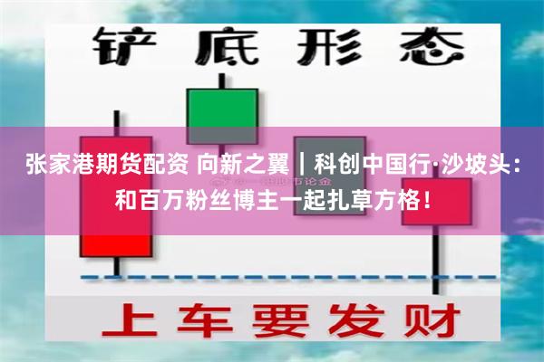 张家港期货配资 向新之翼｜科创中国行·沙坡头：和百万粉丝博主一起扎草方格！