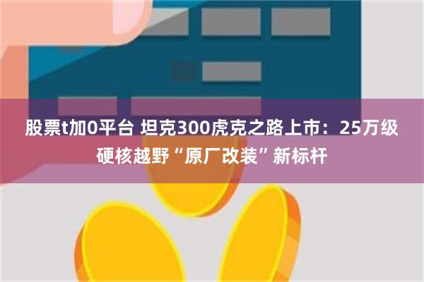 股票t加0平台 坦克300虎克之路上市：25万级硬核越野“原厂改装”新标杆