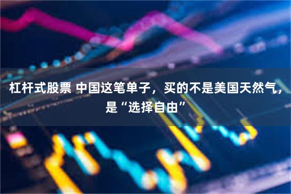 杠杆式股票 中国这笔单子，买的不是美国天然气，是“选择自由”