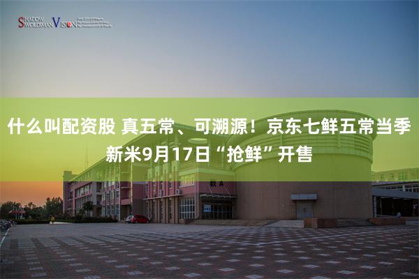 什么叫配资股 真五常、可溯源！京东七鲜五常当季新米9月17日“抢鲜”开售
