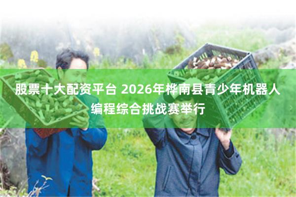 股票十大配资平台 2026年桦南县青少年机器人编程综合挑战赛举行