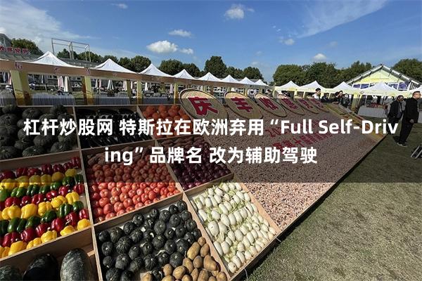 杠杆炒股网 特斯拉在欧洲弃用“Full Self-Driving”品牌名 改为辅助驾驶