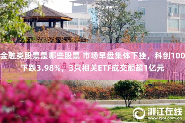 金融类股票是哪些股票 市场早盘集体下挫，科创100下跌3.98%，3只相关ETF成交额超1亿元