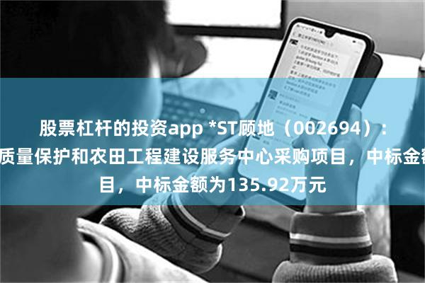 股票杠杆的投资app *ST顾地(002694):中标黄梅县耕地质量保护和农田工程建设服务中心采购项目,中标金额为135.92万元