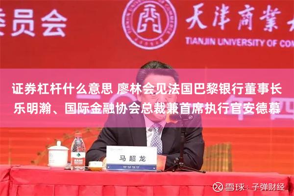 证券杠杆什么意思 廖林会见法国巴黎银行董事长乐明瀚、国际金融协会总裁兼首席执行官安德慕
