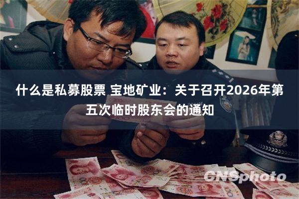 什么是私募股票 宝地矿业：关于召开2026年第五次临时股东会的通知